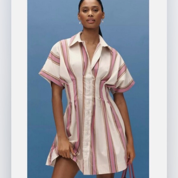 Anthropologie Dresses & Skirts - Anthropologie NWT Tobie Mini Shirt Dress in Pink Stripe Exquise - Size XS